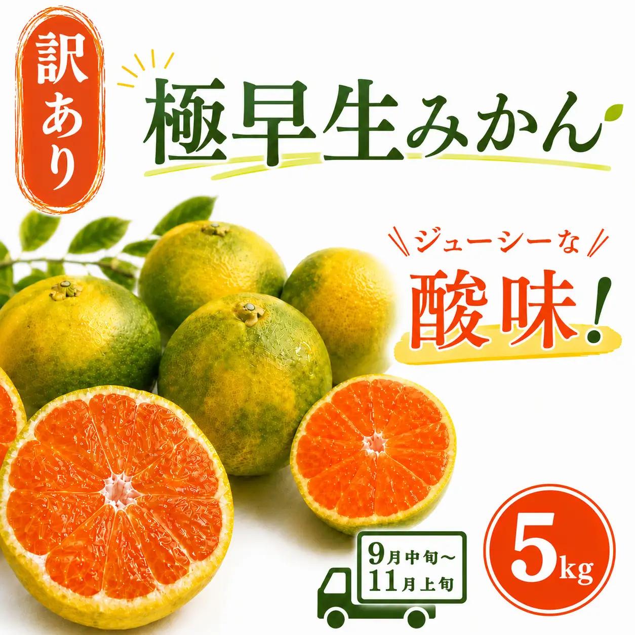 【先行予約】訳あり 極早生みかん 5kg | 温州みかん みかん 蜜柑 ミカン 柑橘 緑のみかん 酸っぱい 酸味 家庭用 秋の味覚 旬 ごくわせ フルーツ 果物 くだもの 産地直送 数量限定 期間限定 人気 おすすめ 国産 高知県 室戸市