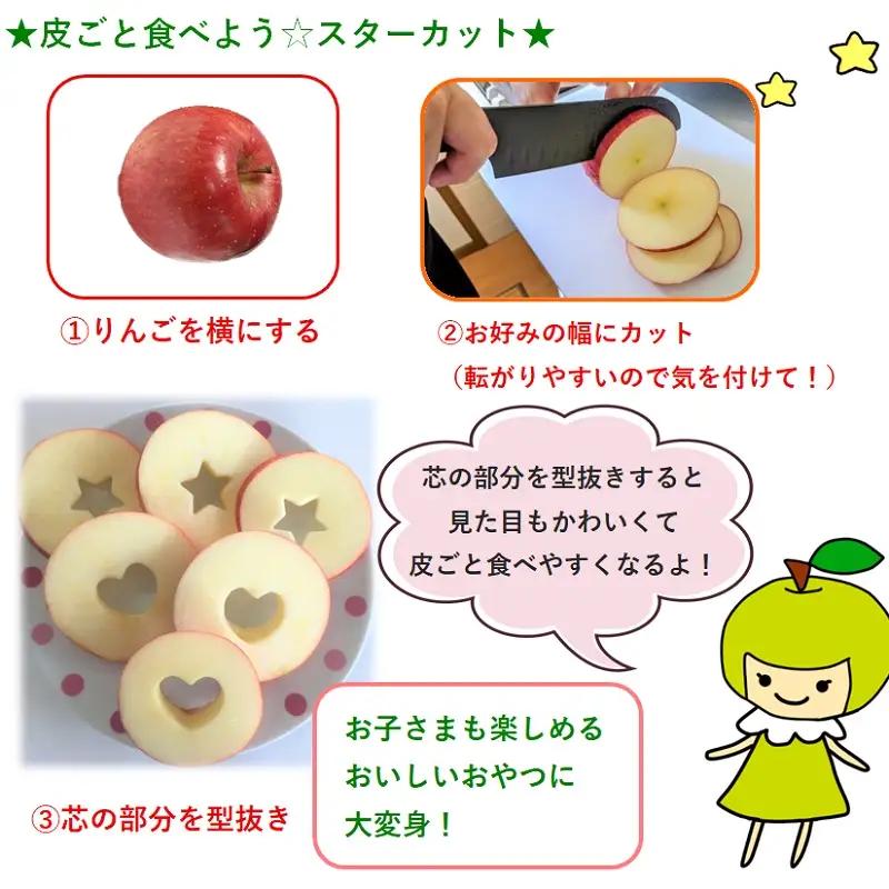 【2027年3月上旬発送】【特選】旬の美味しい りんご 約5kg 青森産 【おまかせ1品種】りんご
