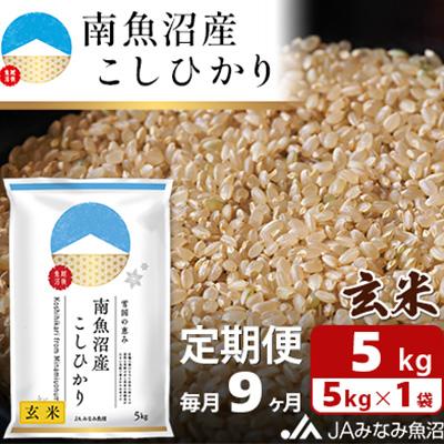 ふるさと納税 南魚沼市 【毎月定期便】南魚沼産こしひかり 玄米 5kg全9回