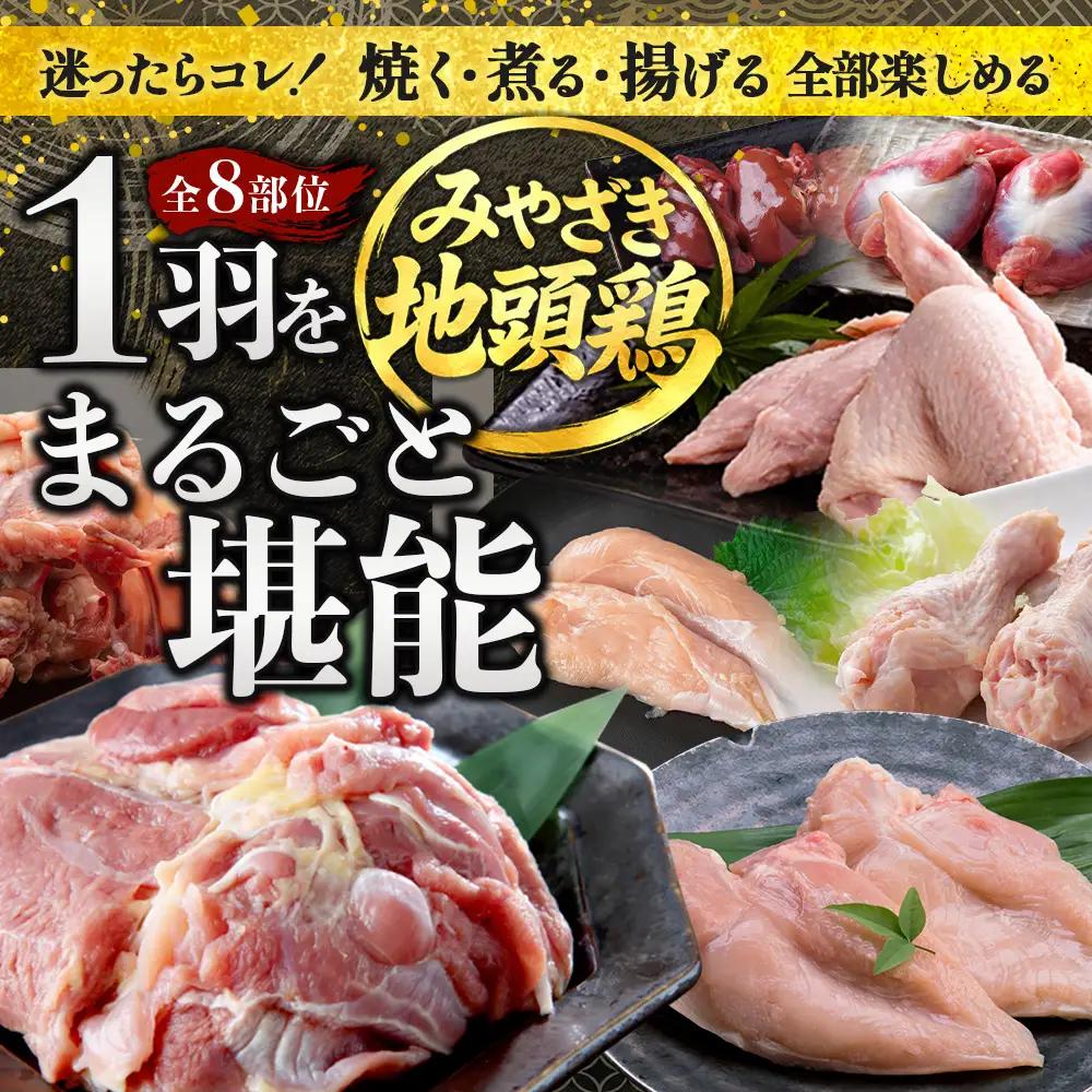 みやざき地頭鶏 1羽をまるごと堪能セット 約1.6kg 冷凍｜鶏肉 地鶏 モモ ムネ ササミ 手羽先 手羽元 レバー 砂肝 ガラ 1羽まるごと ロースト チキン じとっこ 真空パック 興洋開発株式会社