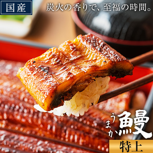 うなぎ 特上サイズ 選べる尾数 1尾 2尾 3尾 4尾 国産 ランキング 獲得 鰻 真空パック おすすめ うなぎの蒲焼 《発送時期が選べる》 有頭 ふるさとのうぜい 鶏炭火焼 特上 簡易包装 ウナギ unagi 蒲焼 秋 冬 旬 配送時期 冷凍