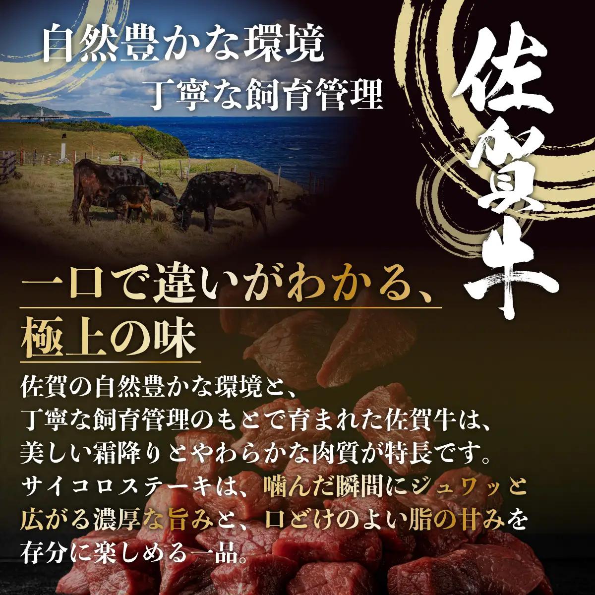 佐賀牛サイコロステーキ500g