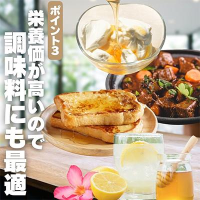 ふるさと納税 河内長野市 【2025年6月中旬以降順次発送です】岩湧ハニー(百花、純粋はちみつ)500g×1本 |  | 03