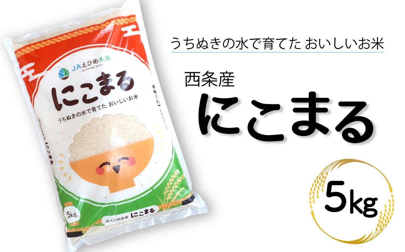 
            令和6年産 西条産のお米 「にこまる」（５kg）　にこまる 米 精米
          