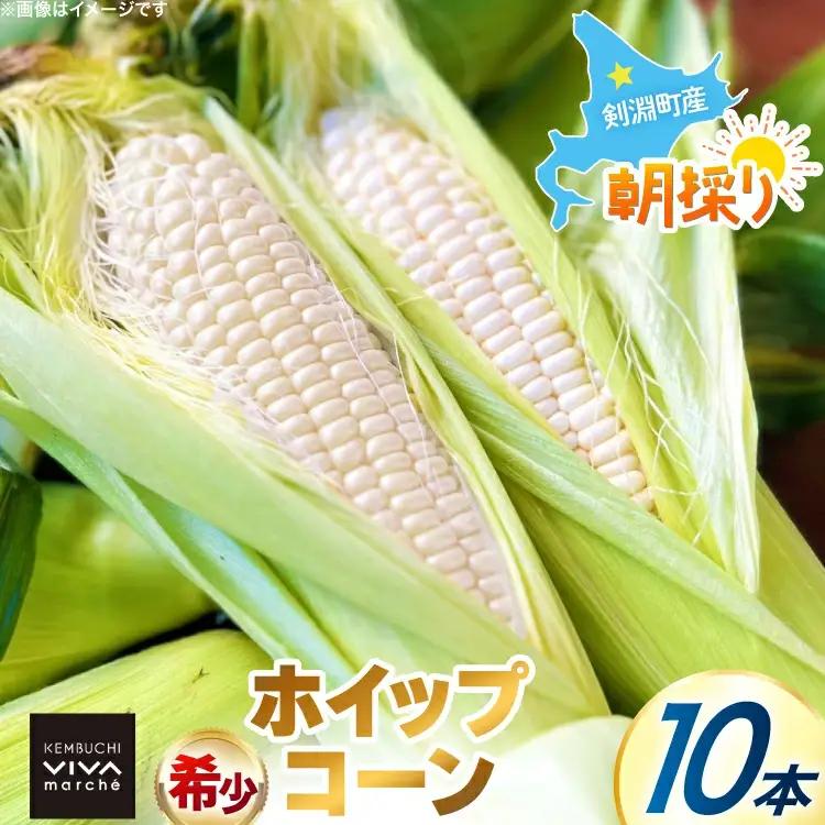 剣淵町産 ホイップコーン 10本 [けんぶちVIVAマルシェ 北海道 剣淵町 14656379]