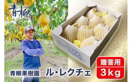 【2025年先行予約】新潟特産 幻の洋梨ル・レクチェ 贈答用 3kg（7〜9玉）〈11月下旬～順次出荷〉 ルレクチェ ル・レクチエ ルレクチエ ギフト 新潟県 特産 ギフト 果物 フルーツギフト 冬の味覚 産地直送加茂市 青柳果樹園