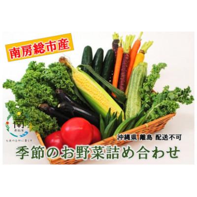 ふるさと納税 南房総市 季節のお野菜詰め合わせ　mi0047-0001