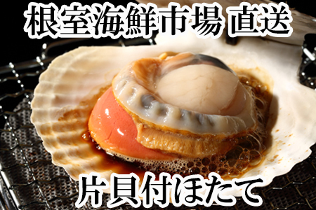 ＼漁業者応援品／根室海鮮市場[直送]片貝ほたて10～13枚×2袋 A-28124