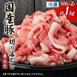 【毎月定期便】国産豚切り落とし(肩・モモ)500g×2P全6回【配送不可地域：離島】【4082700】