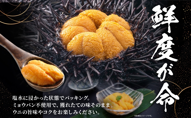 ミョウバン不使用 塩水 ウニ100g 1パック 7月下旬頃までお届