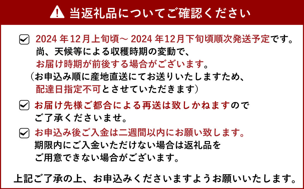 宇城市産 青島 温州みかん 約8kg（60個前後）ひでみかん 【12月上旬から12月下旬発送予定】