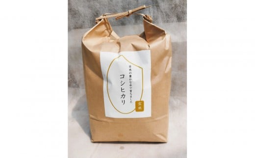 令和7年産 コシヒカリ 玄米 10kg（5kg×2袋） ｜米 お米 数量限定