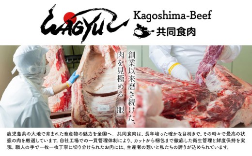 とろける さつま福永牛 サーロインステーキ 400g 有限会社共同食肉《30日以内に出荷予定(土日祝除く)》鹿児島県 さつま町 和牛 牛 サーロイン ステーキ