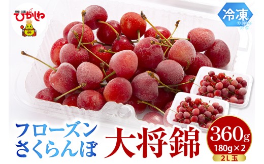 フローズンさくらんぼ 「大将錦」 2L玉 180g入×2P 有限会社佐藤錦 提供 hi029-043