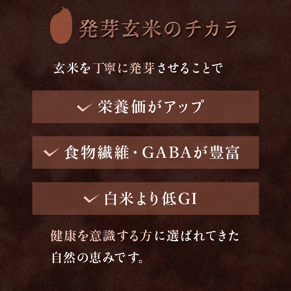 酵素発芽玄米「健やかごはん」14個入 素材にこだわり玖珠