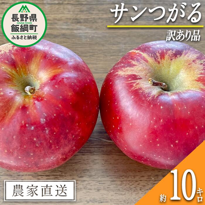 【ふるさと納税】 りんご サンつがる 訳あり 10kg 沖縄県への配送不可 令和7年度収穫分 宮本ファーム エコファーマー 減農薬栽培 長野県 飯綱町 〔 リンゴ 林檎 果物 フルーツ 信州 長野 16000円 〕発送期間：2025年9月上旬〜2025年9月下旬