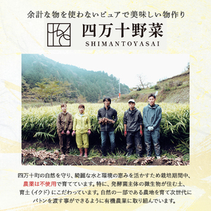 【有機玄米】希少な四万十の香る米 4.8kg（8合×4袋）四万十INEKA（稲華香米）化粧袋仕様 ／Fsg-Z02 ブランド米
