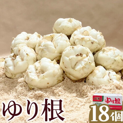 【ふるさと納税】ゆり根 Lサイズ 18個入り《2025年10月下旬-11月中旬頃出荷》