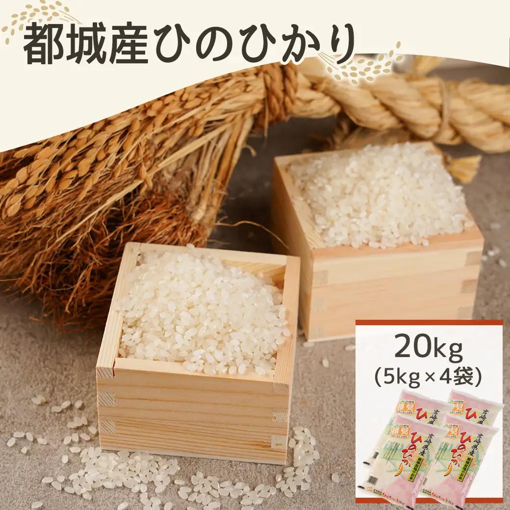 みやこんじょ育ち都城産ひのひかり20kg≪みやこんじょ特急便≫〔55-K701-Q〕_(都城市) 都城産 ひのひかり 20kg 5kg×4袋 田園 霧島裂罅水 土づくり こだわり 都城米 甘み 旨味 