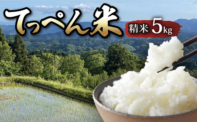 
                  【令和8年産 新米 先行予約】コシヒカリ 精米 5kg 神子原 てっぺん米 数量限定 令和8年産 こだわり もっちり 甘み ※ ご飯 ごはん R8 2026年産 おいしい 美味しい こしひかり ブランド米 銘柄米 石川県 石川 能登 羽咋 支援 応援 復興応援 復興支援 お米 米 白米 はくまい hakumai おこめ こめ kome okome せいまい seimai ふるさと納税米 羽咋市
                