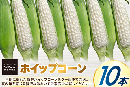 剣淵町産 ホイップコーン 10本