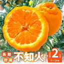 【ふるさと納税】【先行予約】 不知火 交配 数量 限定 約2kg 6〜10 個 清見 中野3号 省加温栽培 柑橘 甘い ジューシー 讃岐 フルーツ 王国 長期貯蔵 高品質 厳選 逸品 冷蔵 老舗 造田商店 香川県 三豊市 送料無料 13000円 秋 旬