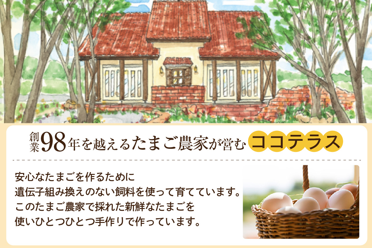 【土曜日発送のみ】しあわせプリン３個と極上プリン３個の食べ比べセット｜デイリーファーム たまご 幸せ プリン 瓶入り デザート スイーツ おやつ 卵 鶏卵 ココテラス なめらかプリン 名古屋コーチン 