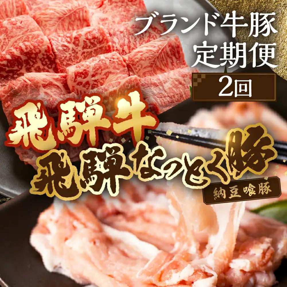 【定期便２回】 飛騨牛＆納豆喰豚 お楽しみ定期便（しゃぶしゃぶ用、焼肉用）【11-S】