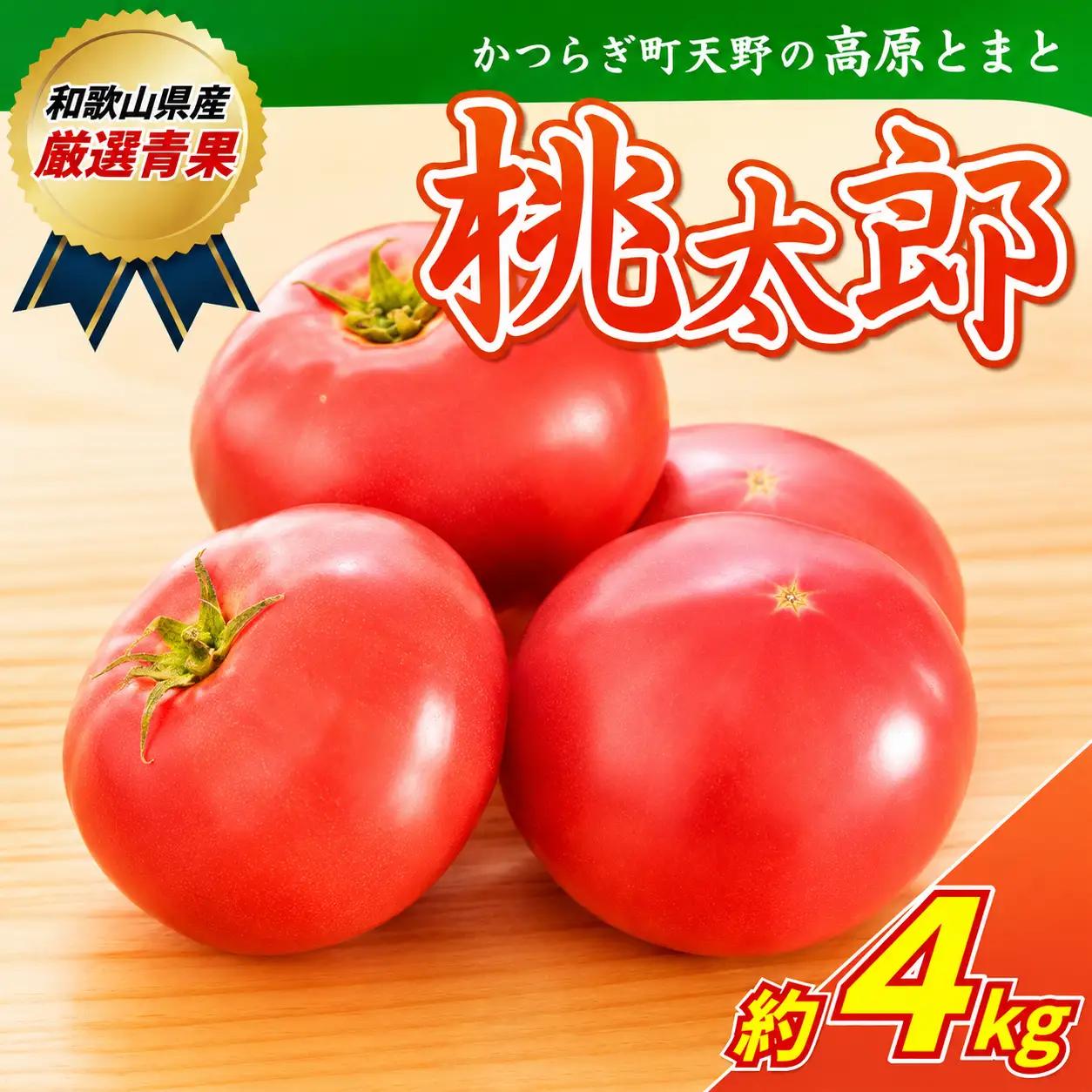 トマト 太陽の恵みたっぷりの天野とまと【桃太郎トマト約４kg】【2026年7月中旬～10月下旬発送】【A011-frks007】