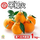 【ふるさと納税】選べる内容量 先行受付 訳あり 不知火 1kg 3kg 5kg 【発送期間：2月中旬～なくなり次第終了 】 しらぬい かんきつ 柑橘 みかん 蜜柑 でこぽん おやつ きず 傷 ふぞろい 不揃いフルーツ 果物 くだもの 果実 愛媛県 愛南町 みかん職人武田屋