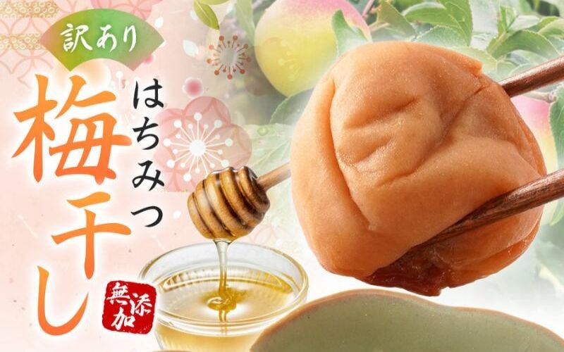 
                  【訳あり】はちみつ梅干し 紀州南高梅 無添加 つぶれ梅 低塩6％ 1kg（500g×2パック）｜ 和歌山県産 紀州南高梅 梅干し 梅干 うめぼし はちみつ梅 無添加 化学調味料不使用 【baiko001A】 
                
