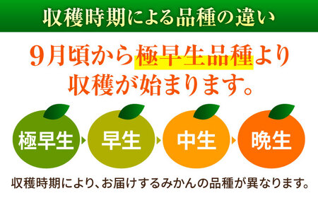 【先行予約】 温州みかん 3kg 極早生 早生 中生 晩生 みかん 【池田農園】[ZEX005]