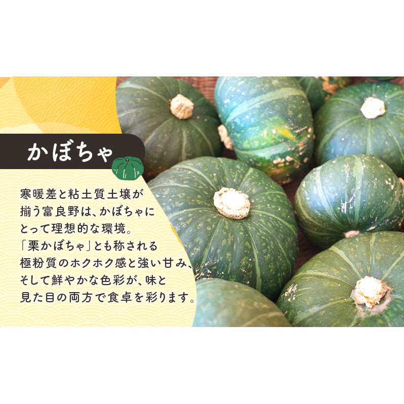 [TVで紹介されました！]上富良野産 野菜セット（ じゃがいも 玉ねぎ かぼちゃ ）約10kg [ 一色商店 いも 玉葱 南瓜 野菜 北海道 上富良野町 ]_イメージ4