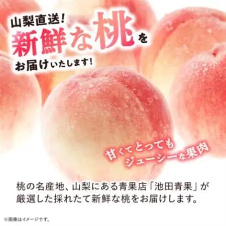 【2027年(来年)発送】 桃 約3kg (8玉～12玉) 厳選 ! 池田青果の もも【配送不可地域：離島・沖縄県】【1280521】