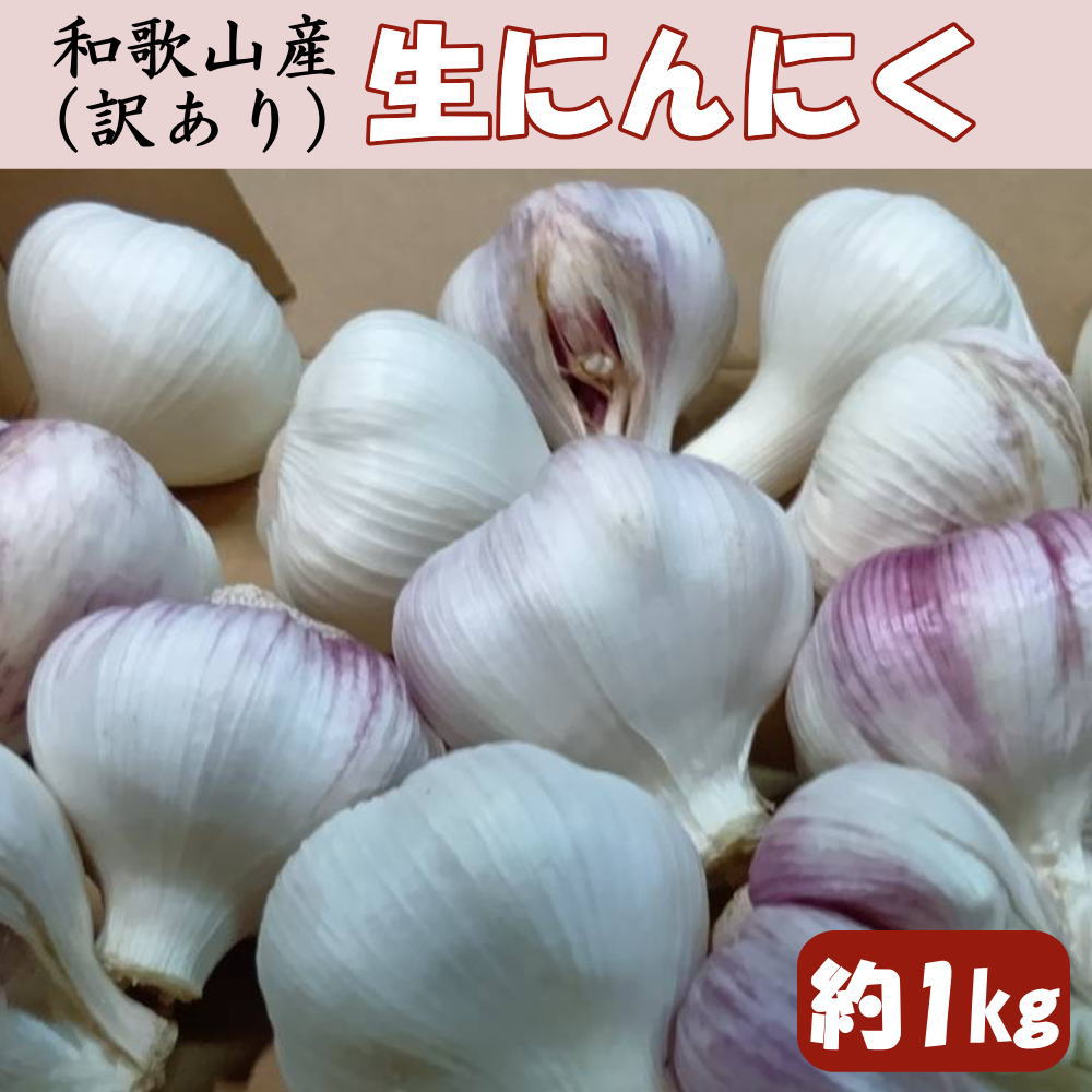【ふるさと納税】和歌山県産生にんにく約1kg　ご家庭用 / 和歌山 ニンニク ※2027年4月下旬～2027年5月中旬頃に順次発送（お届け日指定不可）