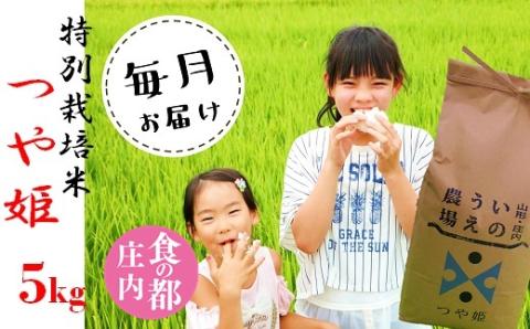 食の都庄内　【定期便12回】井上農場の特別栽培米つや姫5kg×12回 [NY2-110(産直出前便)]