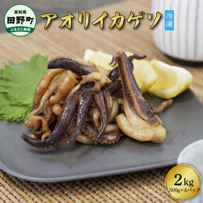 ふるさと納税 田野町 【四国一小さなまち】アオリイカのゲソ★2kg★(500g×4パック)