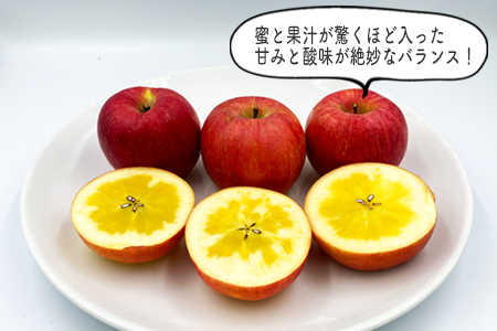 【2024年10月～11月発送】山形のりんご（高徳）約5kg_H119(R6)