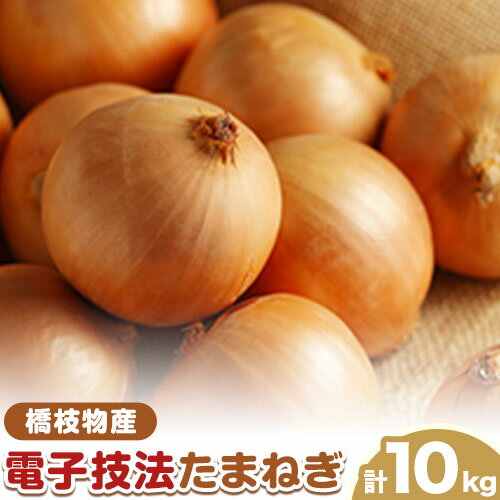 【ふるさと納税】十勝 電子技法栽培たまねぎ 約10kg 野菜 《2025年10月上旬から順次出荷》橋枝物産 北海道 浦幌町