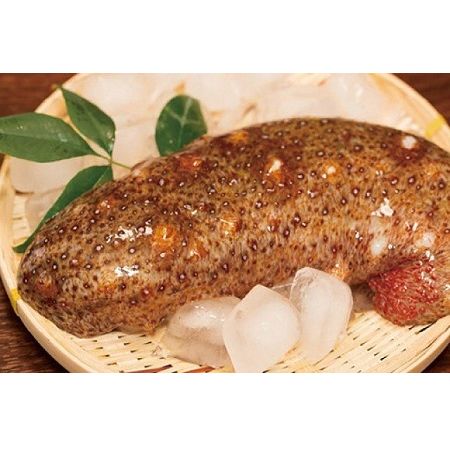 【ふるさと納税】☆冬季限定☆＜周防大島産＞天然活赤なまこ 500g【先行受付開始！2026年1月20日以降のお届け】