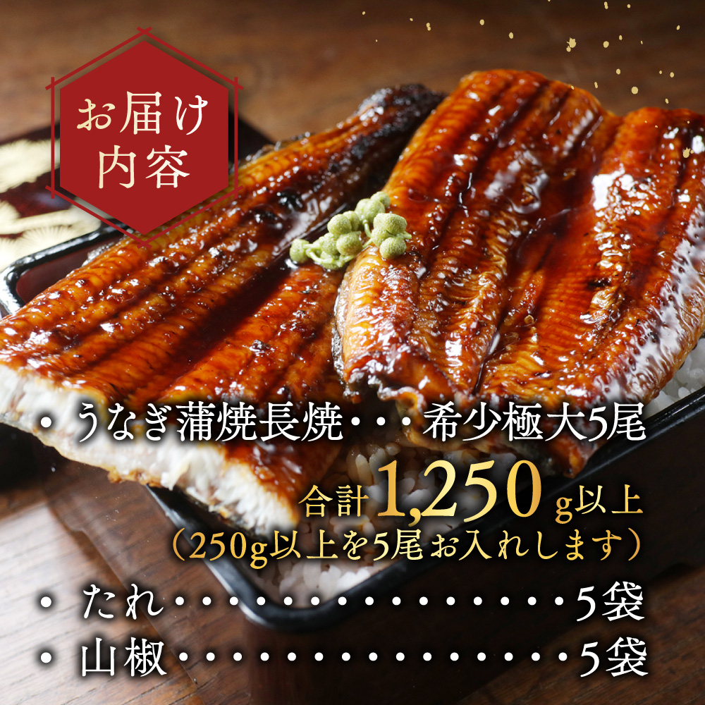 （6月）国産 希少 極大 特上うなぎ(250g×5尾)【OT000OE50_006】_イメージ5
