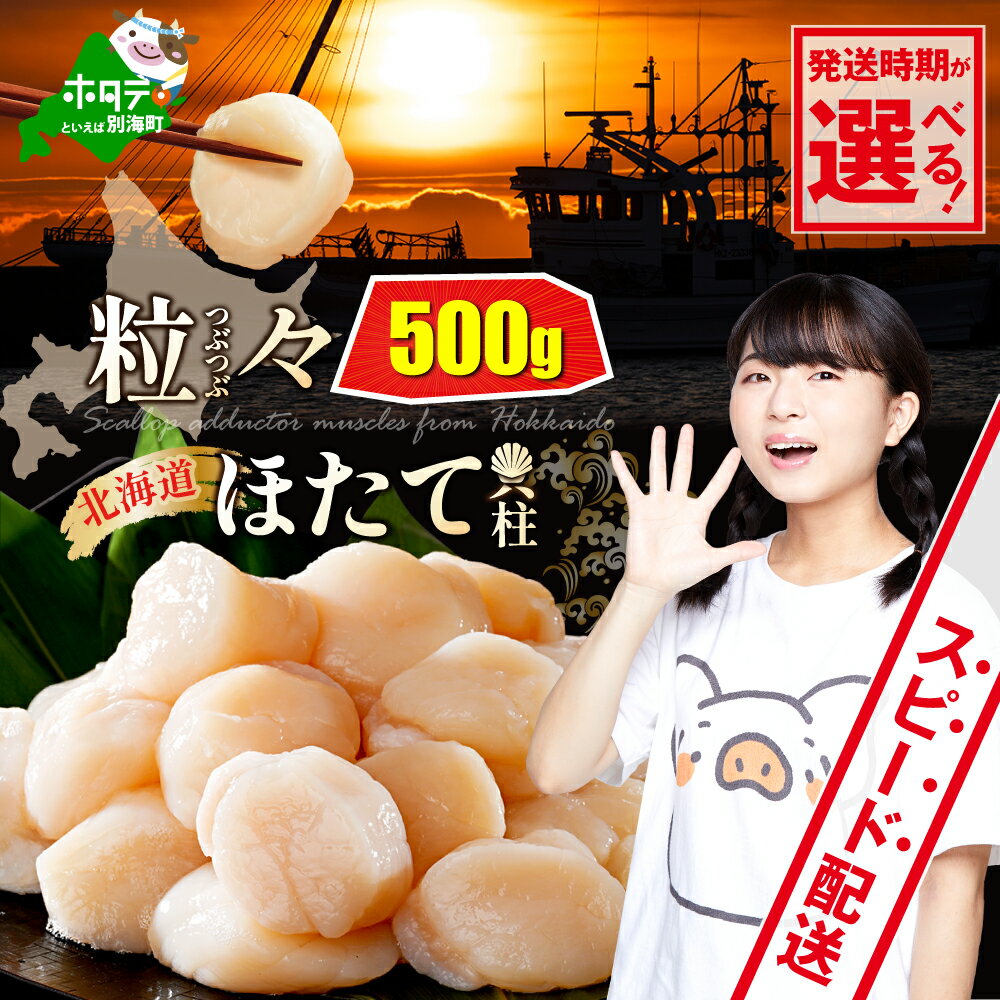 【ふるさと納税】高評価★4.85 ホタテ貝柱 500g 【 発送時期が選べる 】（ ふるさと納税 ホタテ 訳あり ふるさと納税 帆立 ふるさと納税 ホタテ貝柱 北海道産 ふるさと納税 訳あり 不揃い ホタテ玉冷 刺身 ほたて 人気 わけあり ふるさと ホタテ 貝柱 貝 北海道 別海町 ）