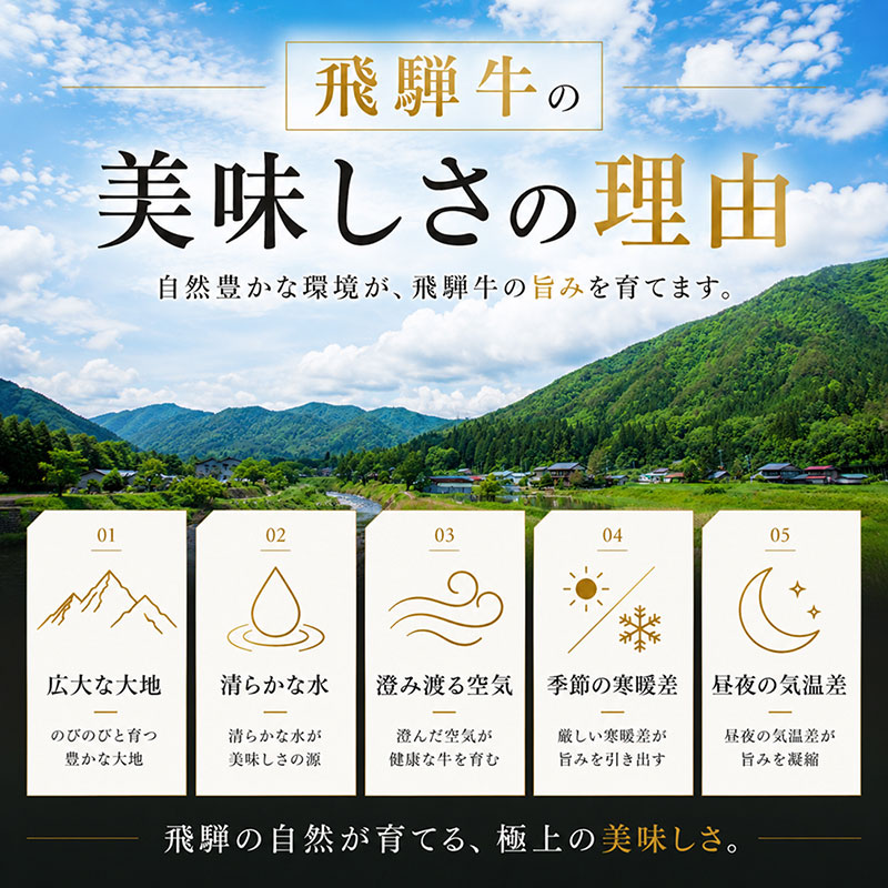 飛騨牛 牛肉 切り落とし 500g×4 計2kg 和牛