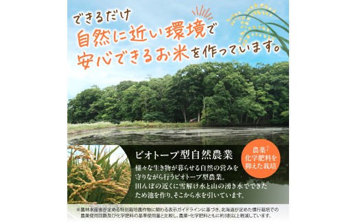 【令和8年度産米】精米ゆきさやか3kg | 北海道産米 精米 白米 米 ブランド米 北海道 当別町