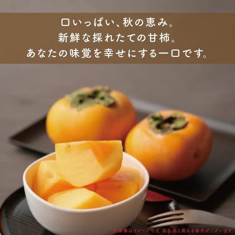 【10月より順次発送】【数量限定】秋の宝石。採れたての甘柿3kg（茨城県共通返礼品／かすみがうら市）（FW-5）