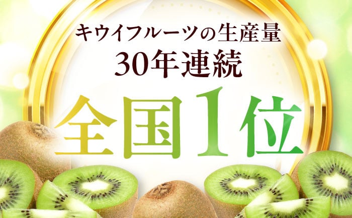 食品 果物 フルーツ おやつ デザート キウイ ジュース スムージー ヨーグルト 贈答品 ギフト プレゼント