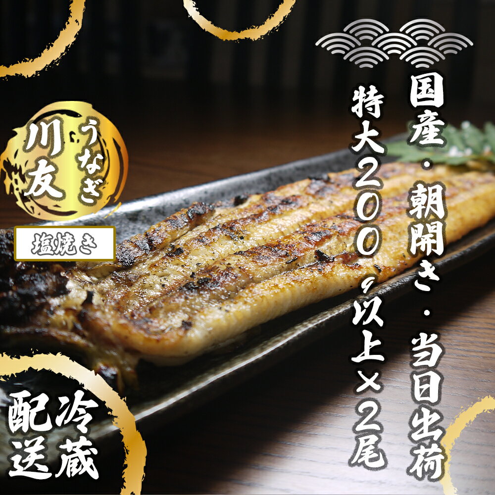 【ふるさと納税】朝開き国産うなぎ2尾（1尾あたり約200g） 塩焼き 国産鰻 ウナギ(AK002)
