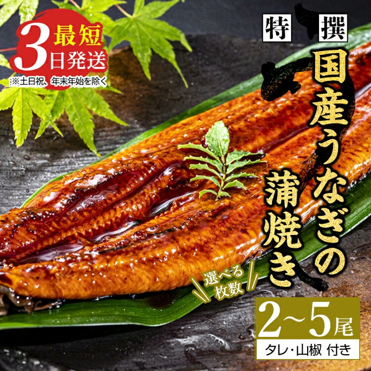 【ふるさと納税】【選べる枚数】特撰 国産うなぎの蒲焼き2～5尾【最短3日発送】国産のブランド鰻を茨城県土浦市の職人が手間を惜しまず一つ一つ丁寧に作り上げた美味しい蒲焼きをぜひご賞味ください！土用の丑の日に！※離島への配送不可
