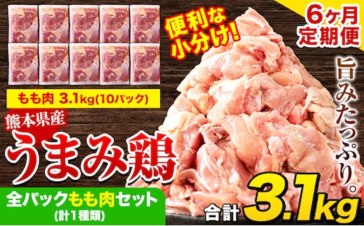 
										
										【6ヶ月定期便】 鶏肉 うまみ鶏 全パックもも肉セット(計1種類) 若鶏 冷凍 小分け《お申込み月の翌月より出荷開始》---tn_ftei_24_75000_3100g_mo6---
									