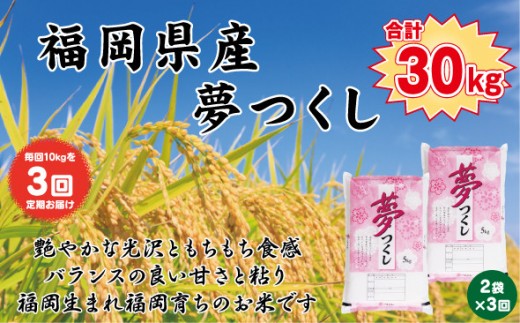 【定期便全3回】【令和7年産新米予約】【食味鑑定士厳選】福岡県産 夢つくし10kg (5kg×2袋) 合計 30kg